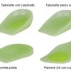 PLANTARE 3/4 CON CUSCINETTO E SCARICO METATARSALE PER SCARPEDAL NUMERO 43 AL NUMERO 44. I PLANTARI IN SILICONE SONO CONSIGLIATI PER METATARSALGIE E SPERONE CALCANEALE