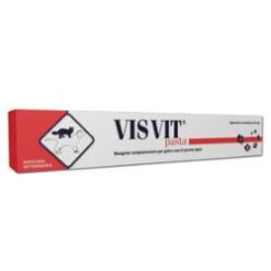 VISVIT PASTA OS SIRINGA 15 G