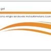 STRIADOL CREMA GEL 100 G