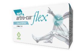 ZETA ARTRO CUR FLEX 20 STICK
