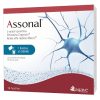 ASSONAL 14 BUSTINE