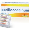 OSCILLOCOCCINUM 200 K 6 DOSI