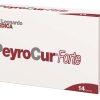 PEYROCUR FORTE 14 BUSTINE