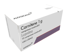CARNITENE*10 cpr mast 1 g