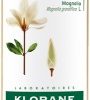 KLORANE EAU BRILLANCE ALLA CERA DI MAGNOLIA 100 ML