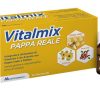 VITALMIX PAPPA REALE 10FLACONCINI X10 ML S/GL