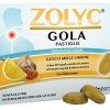 ZOLYC GOLA MIELE/LIMONE SENZA ZUCCHERI 36 PASTIGLIE