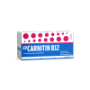 COCARNITIN B12*orale sosp 10 flaconcini 10 ml 500 mg + 2 mg