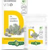 VITA D 100 COMPRESSE