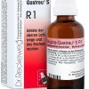RECKEWEG R1 GOCCE 22 ML