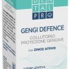 DENTALPRO COLLUTORIO GENGI DEFENCE 300 ML