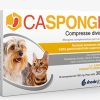 CASPONGIL 30 COMPRESSE DIVISIBILI