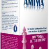 AMIMA 12 BUSTINE