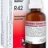 RECKEWEG R42 GOCCE 22 ML